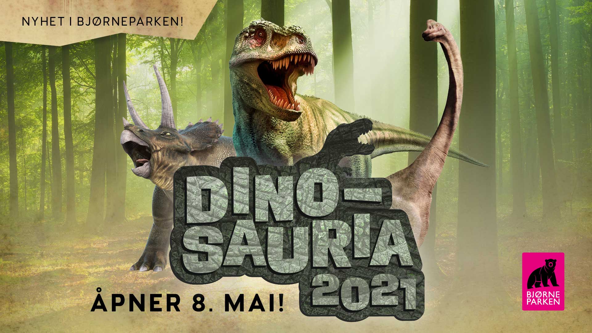 dino-web-mai1