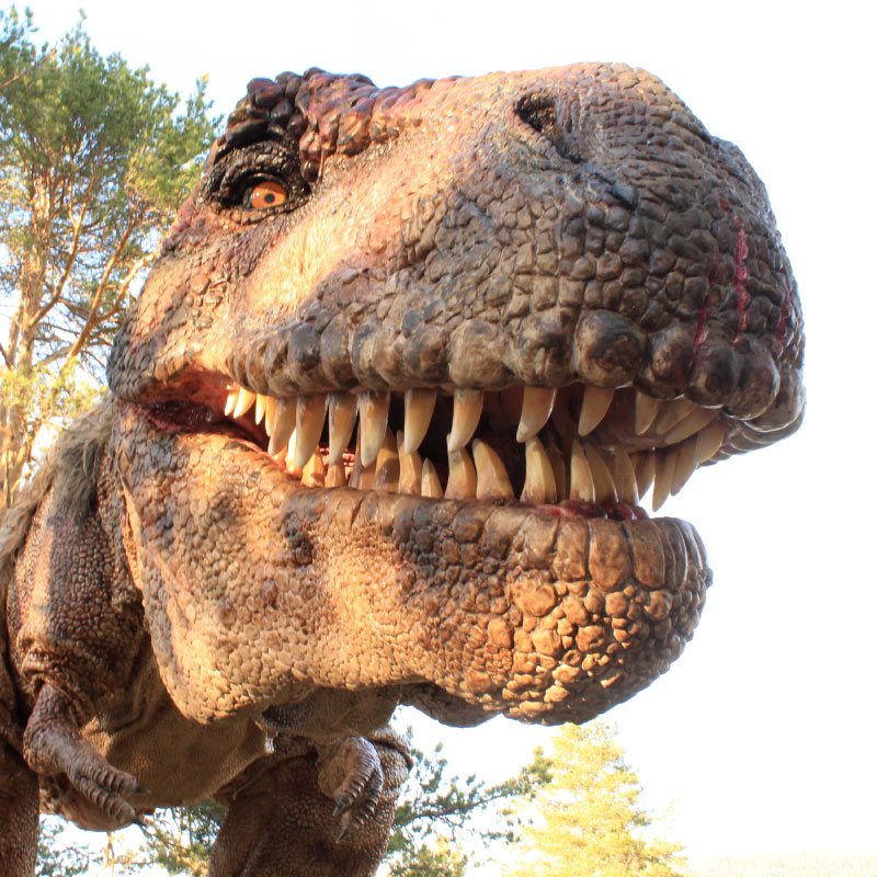 portrait-Tyrannosaurus