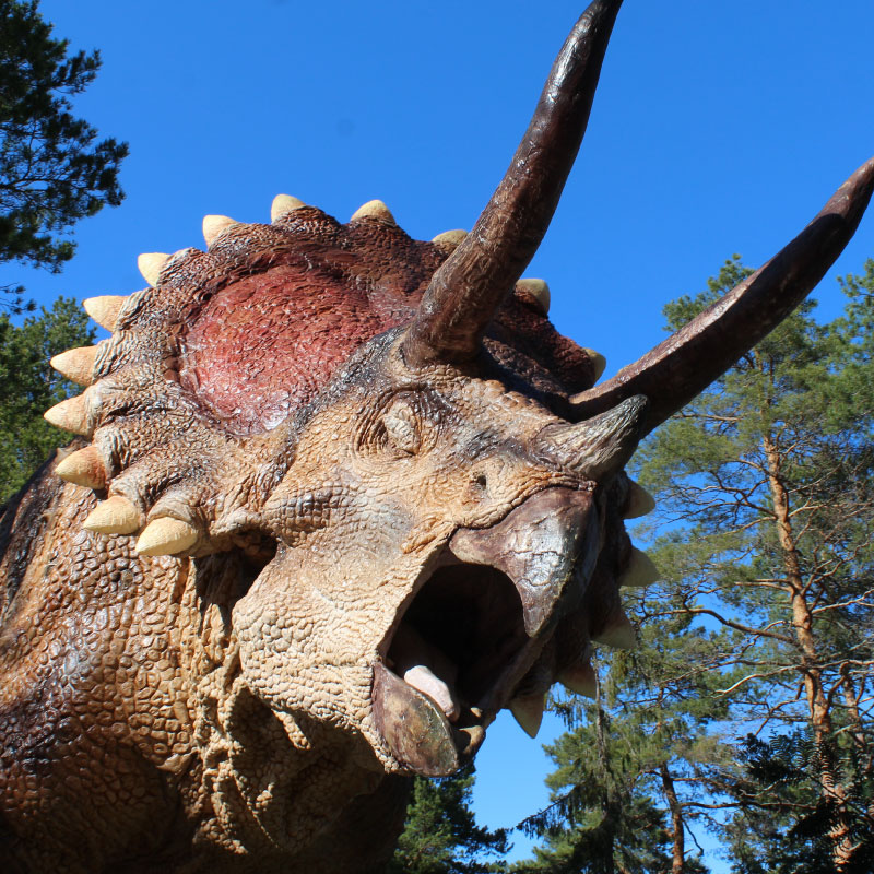 portrait-triceratops
