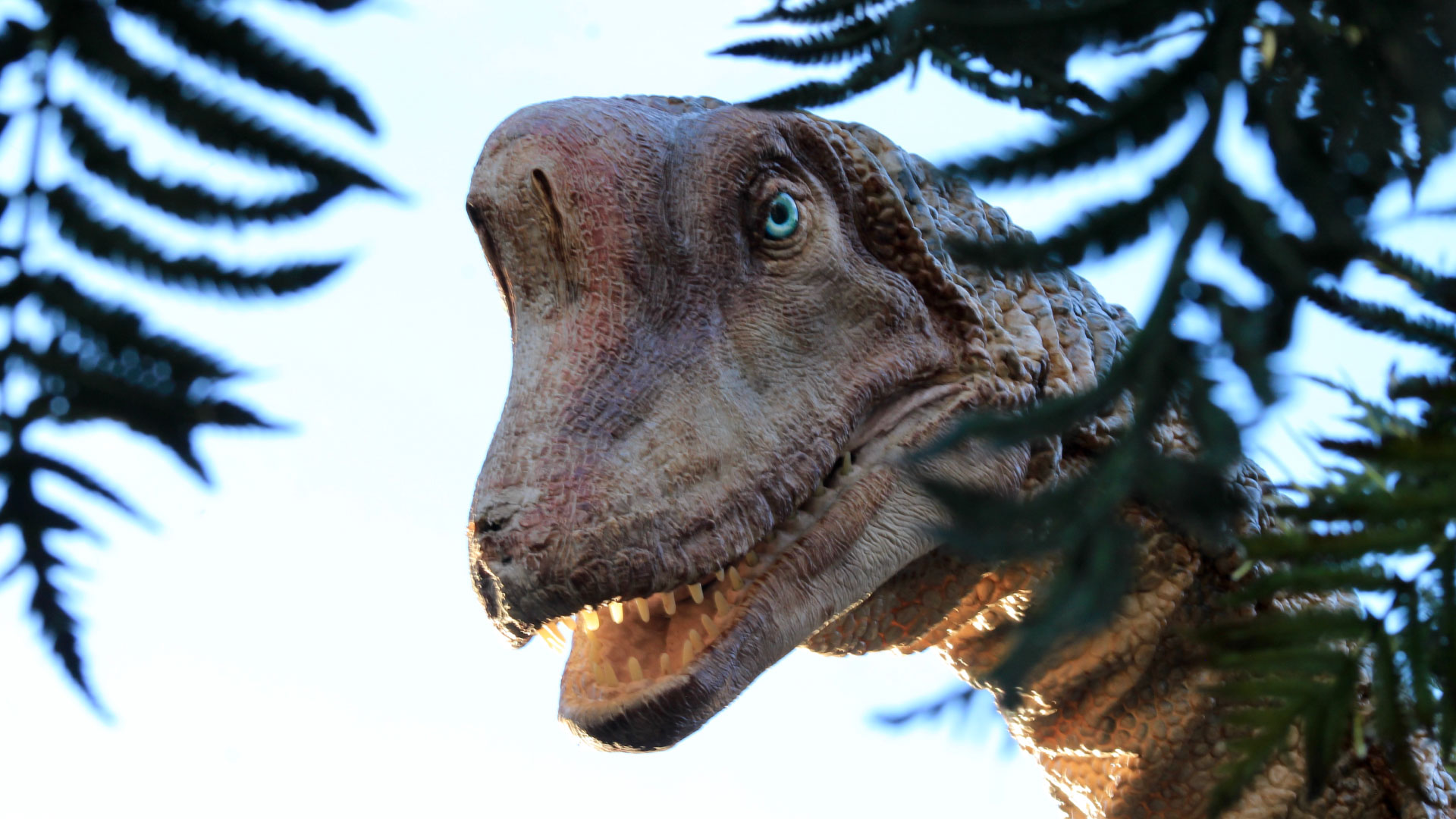 brachiosaurus