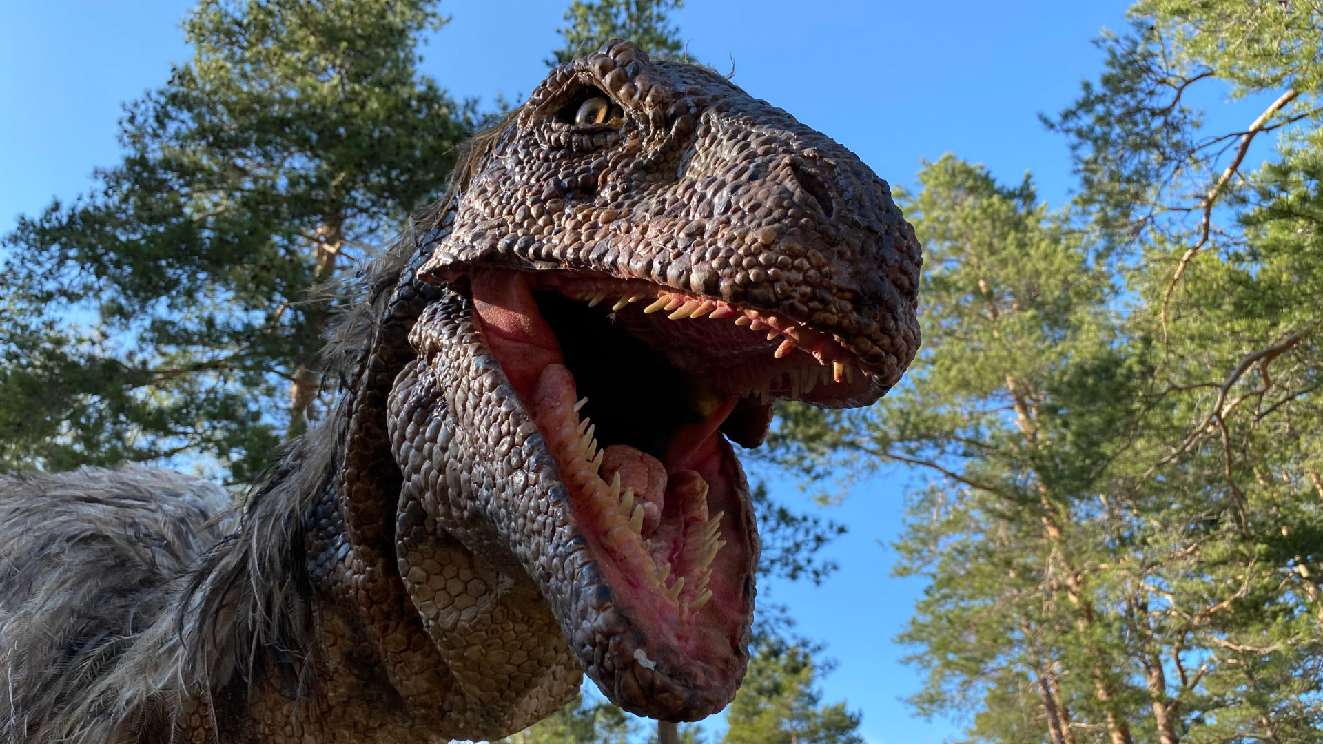 deinonychus