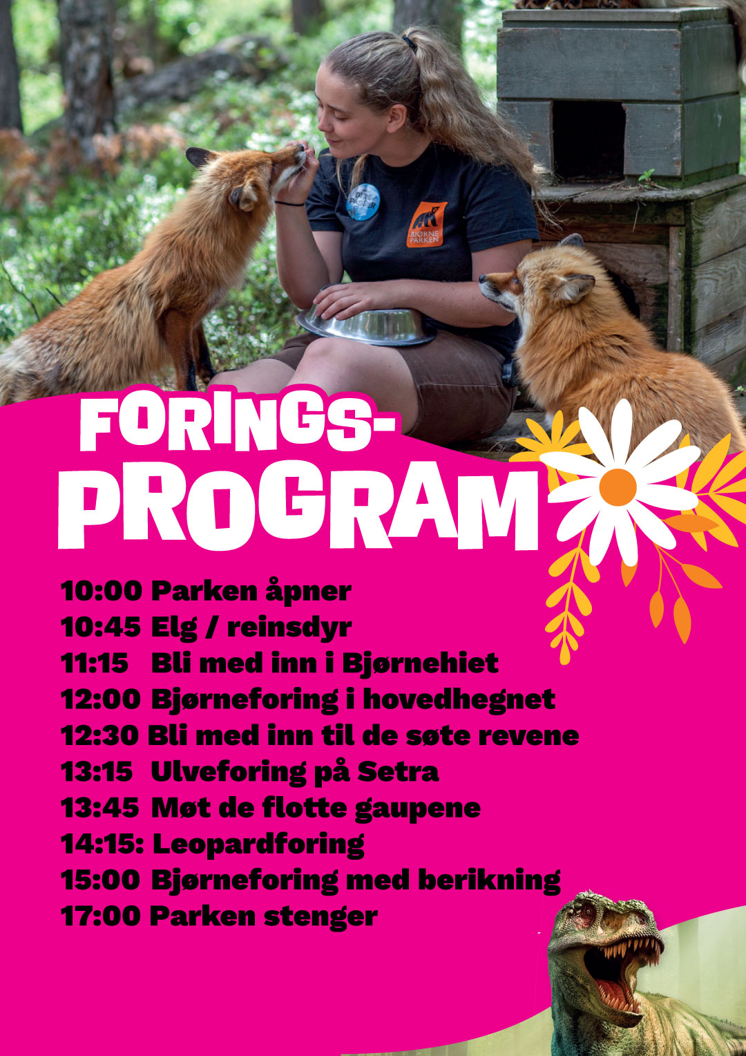 program
