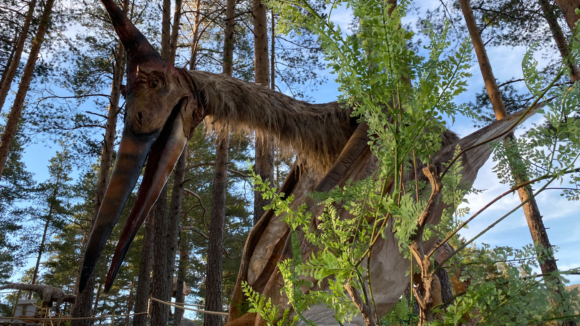 pteranodon
