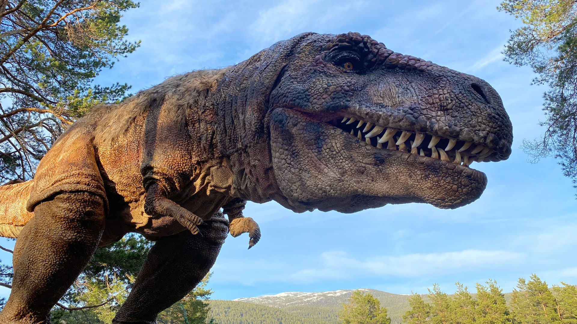 tyrannosaurus