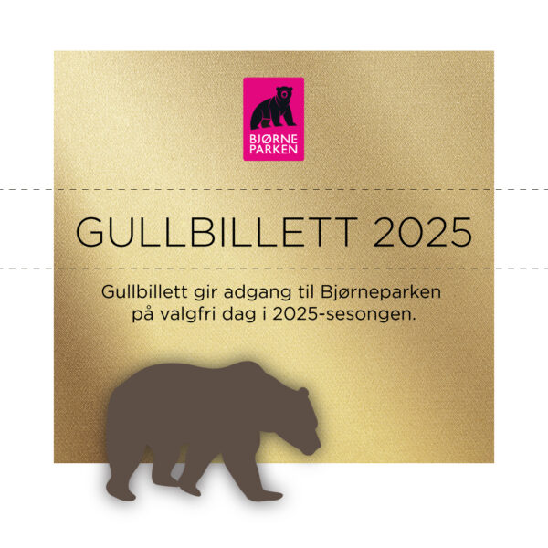 Gullbillett 2025