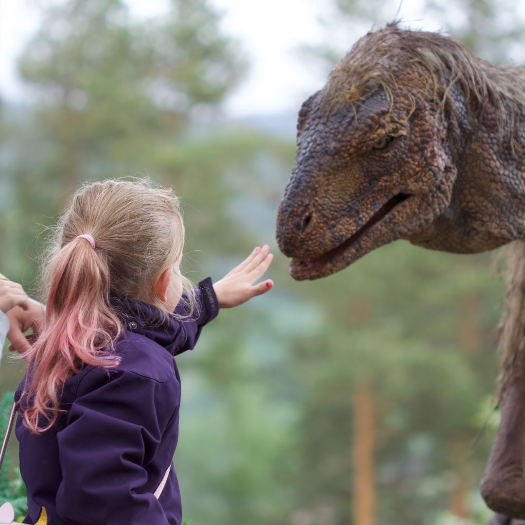 dino-sq
